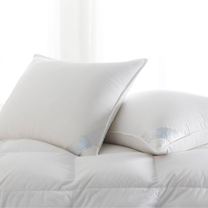 Copenhagen Down Pillow Medium